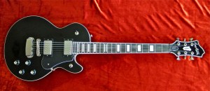 hagstrc3b6m-northen-swede-e28093-full-front