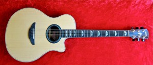 yamaha-apx1200-e28093-full-front