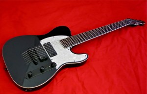 ESP LTD SCT-607B – beauty 2