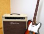 Review: Bluetone Amps Princeton&nbsp;Reverb